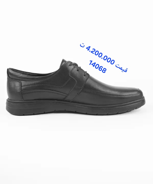 تصویر از کفش مردانه چرم اذر هنر مشکی